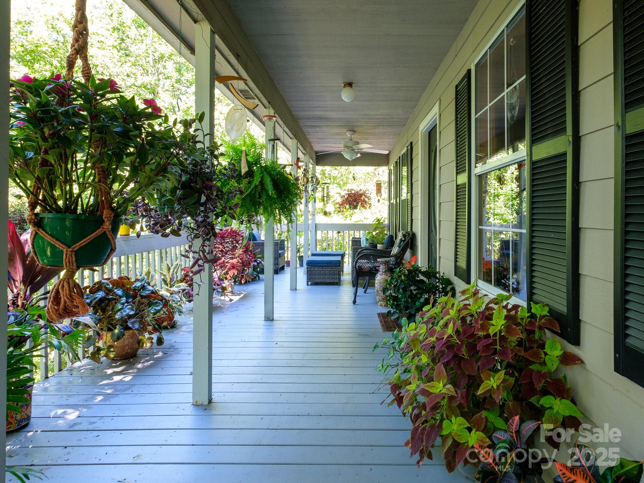 180 Blossom Road Brevard, NC 28712 - Photo 5 of 28