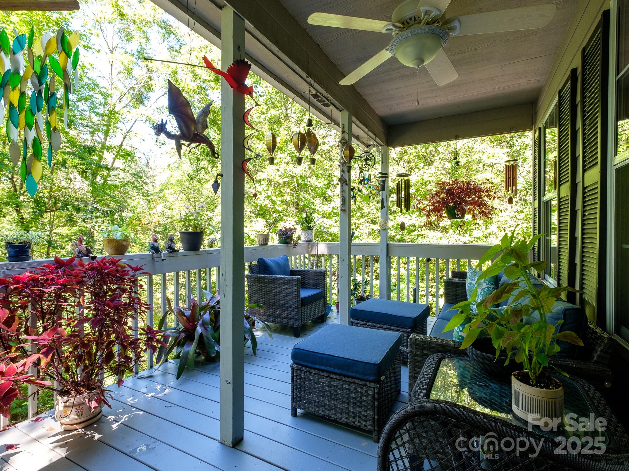 180 Blossom Road Brevard, NC 28712 - Photo 6 of 28