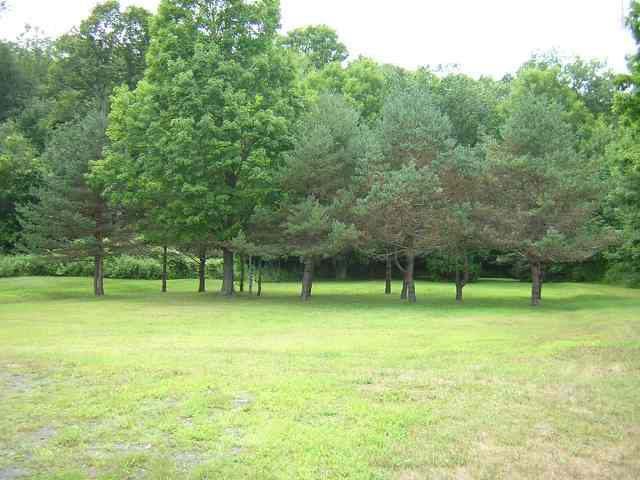 231 Tan Hollow Road Westerlo, NY 12193 - Photo 6 of 8 Photo 6
