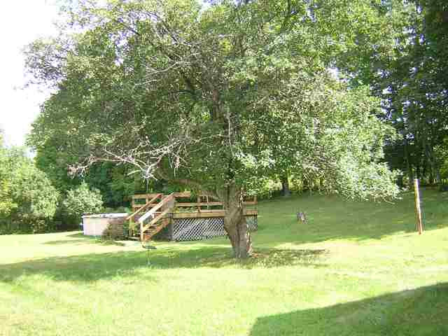231 Tan Hollow Road Westerlo, NY 12193 - Photo 7 of 8 Photo 7