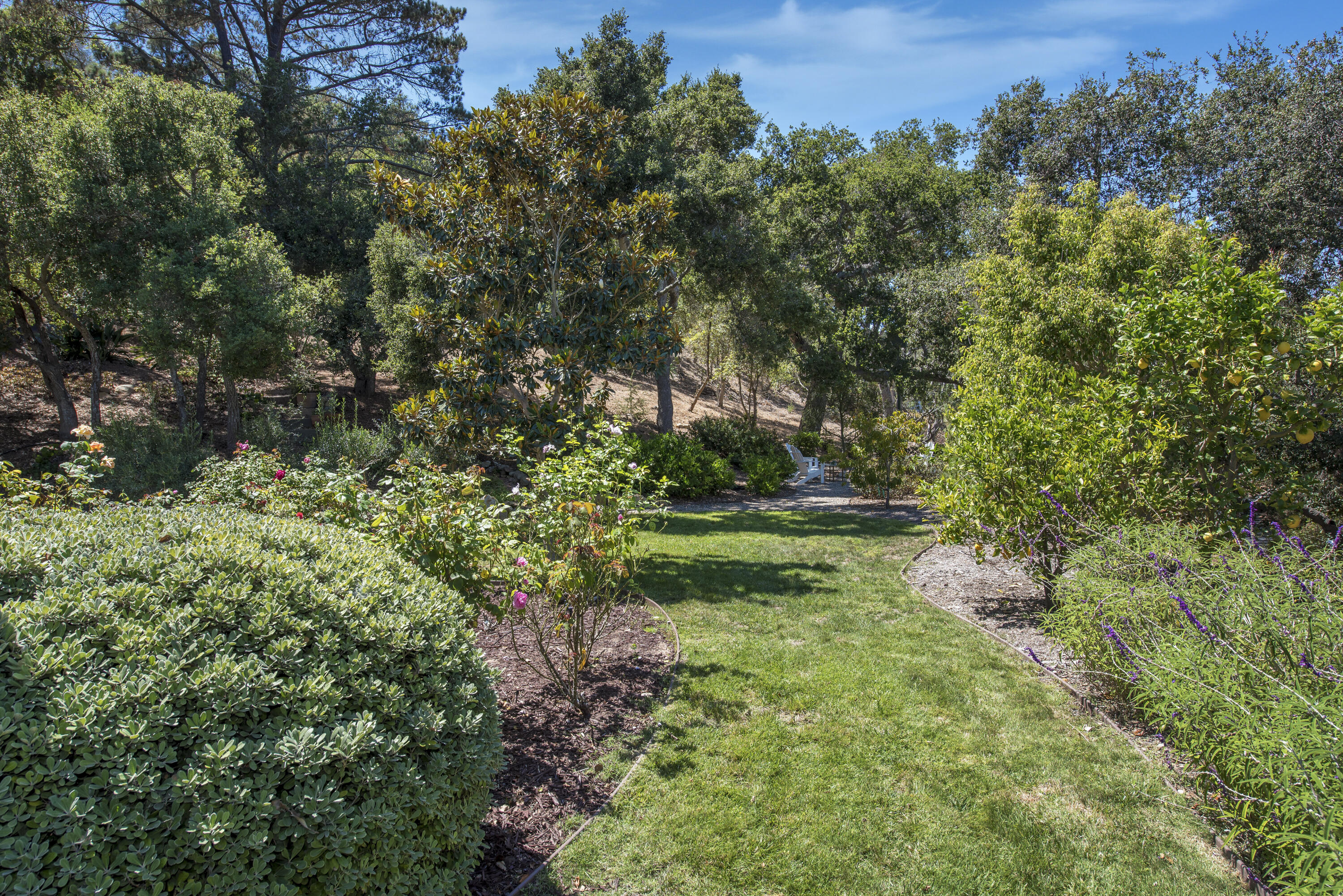 950 Arcady Road Montecito, CA 93108 - Photo 20 of 26 garden
