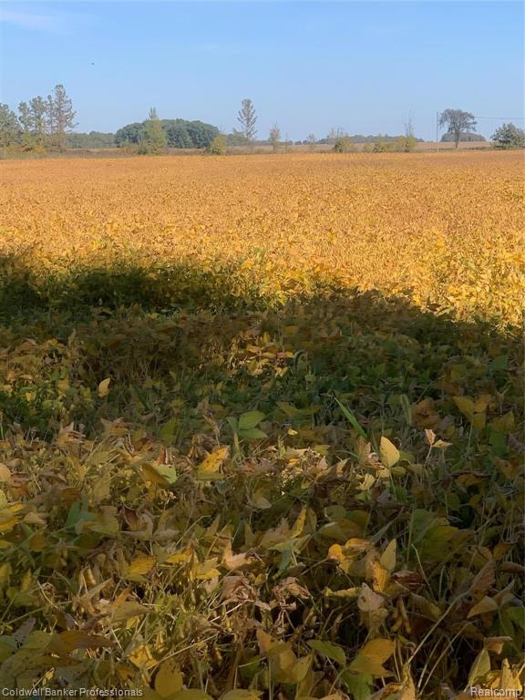 Vl Lake Pleasant Road North Branch, MI 48461 - Photo 3 of 4