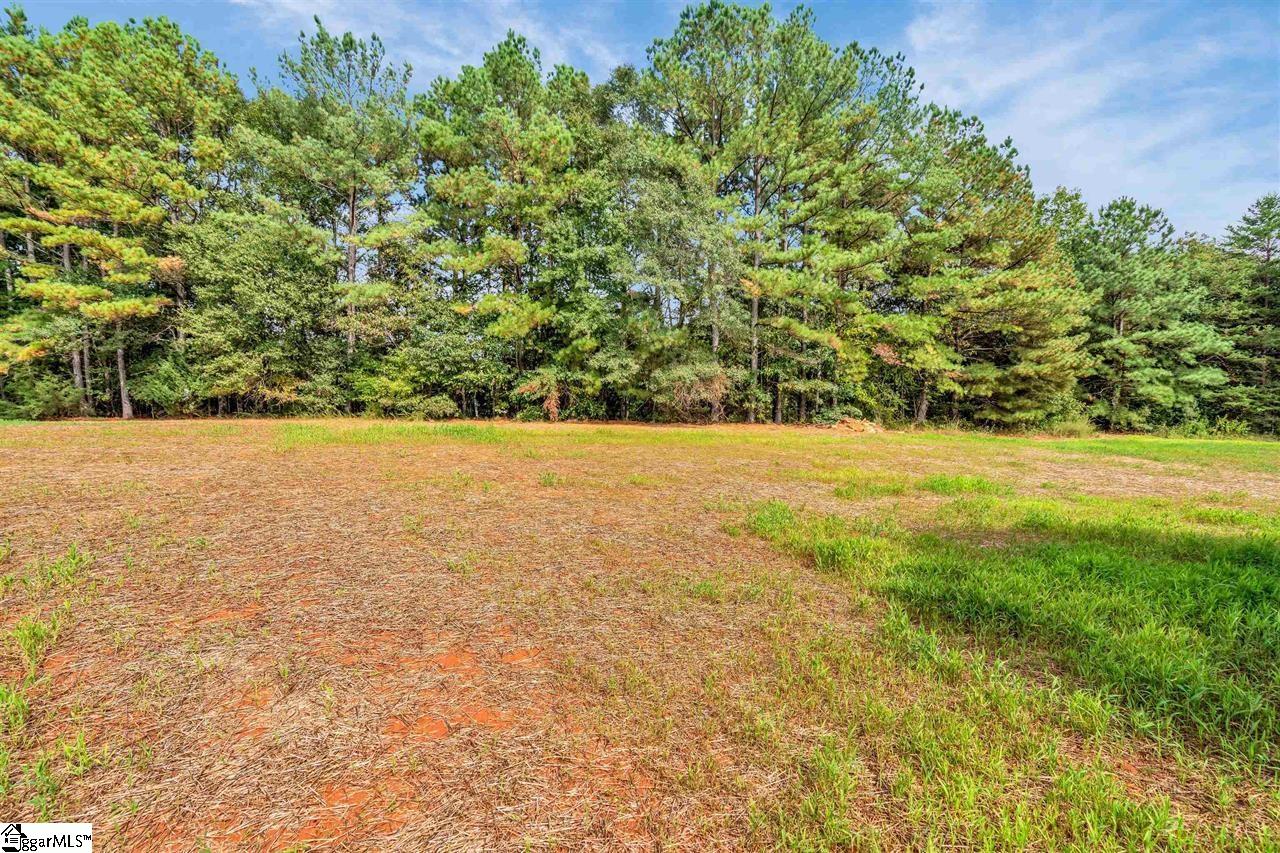 565 Bill Lattimore Road Chesnee, SC 29323 - Photo 18 of 20