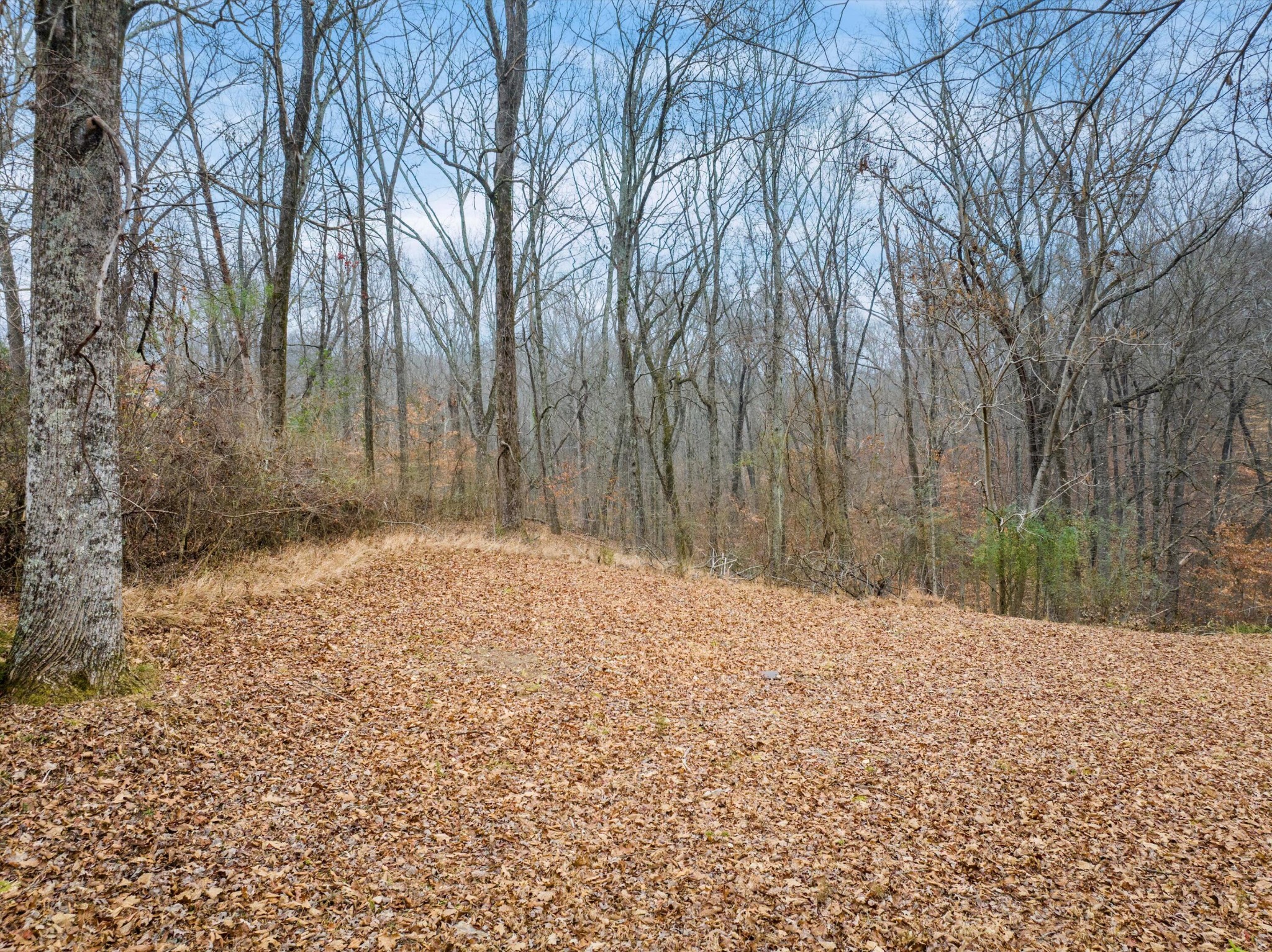 7207 Moses Road Hixson, TN 37343 - Photo 39 of 44