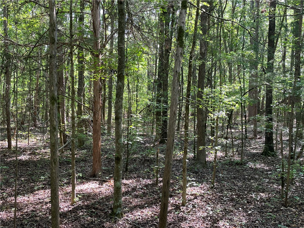 0 Clatworthy Road Honea Path, SC 29654 - Photo 8 of 27