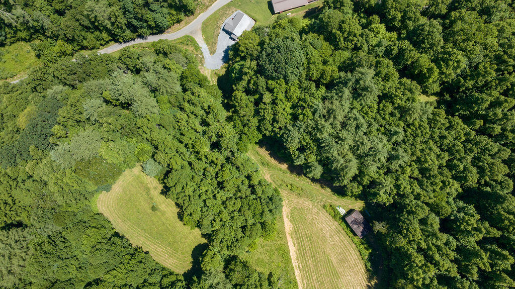 175 Worley Tilson Road Erwin, TN 37650 - Photo 41 of 49 041