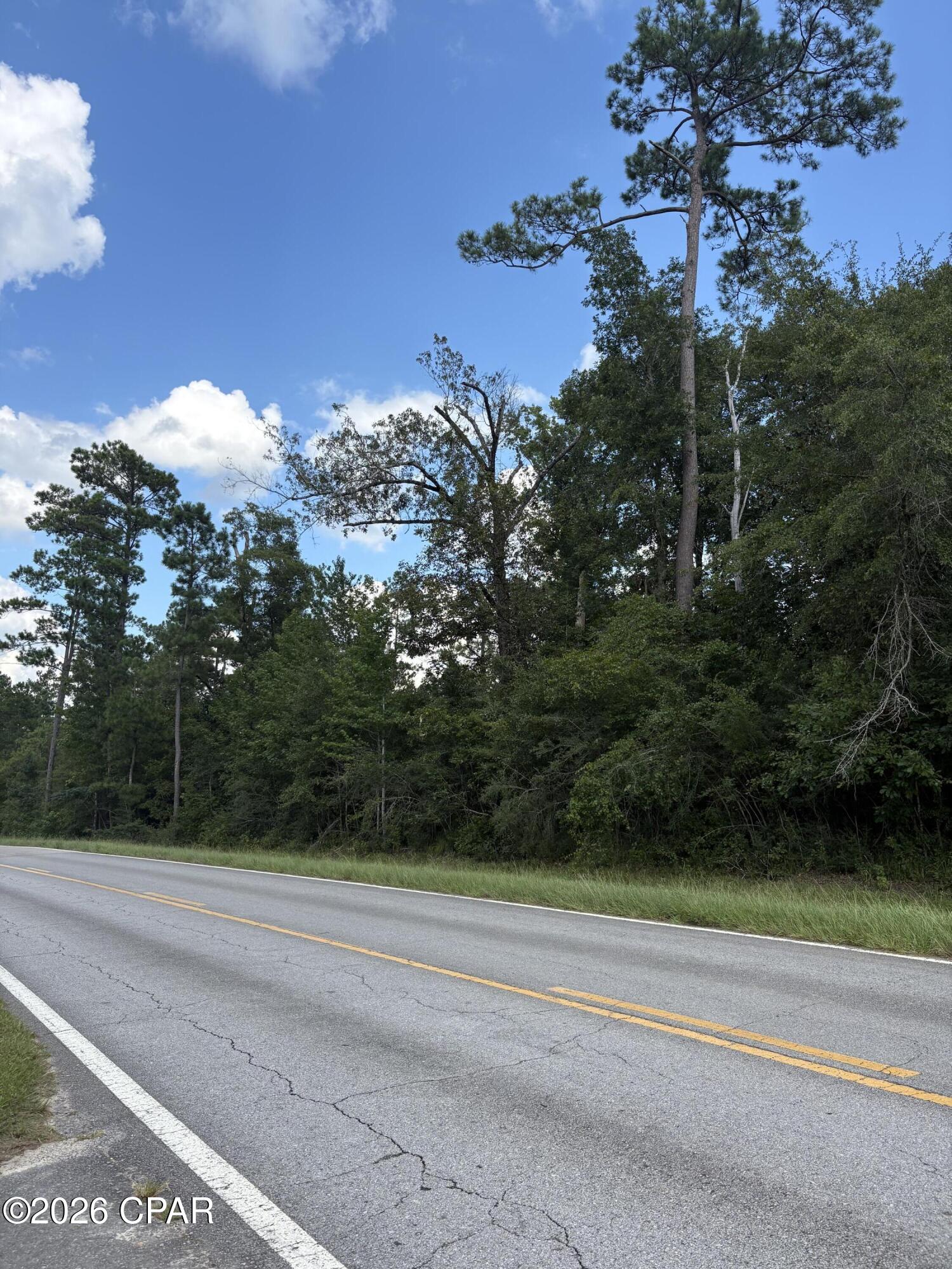 0 Kynesville Road Cottondale, FL 32431 - Photo 4 of 6 Gallery Image 4