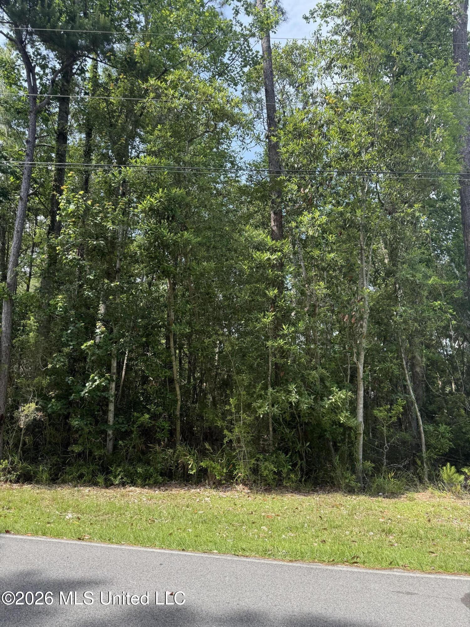 0 Kalipekona Way Diamondhead, MS 39525 - Photo 2 of 3 IMG_2591