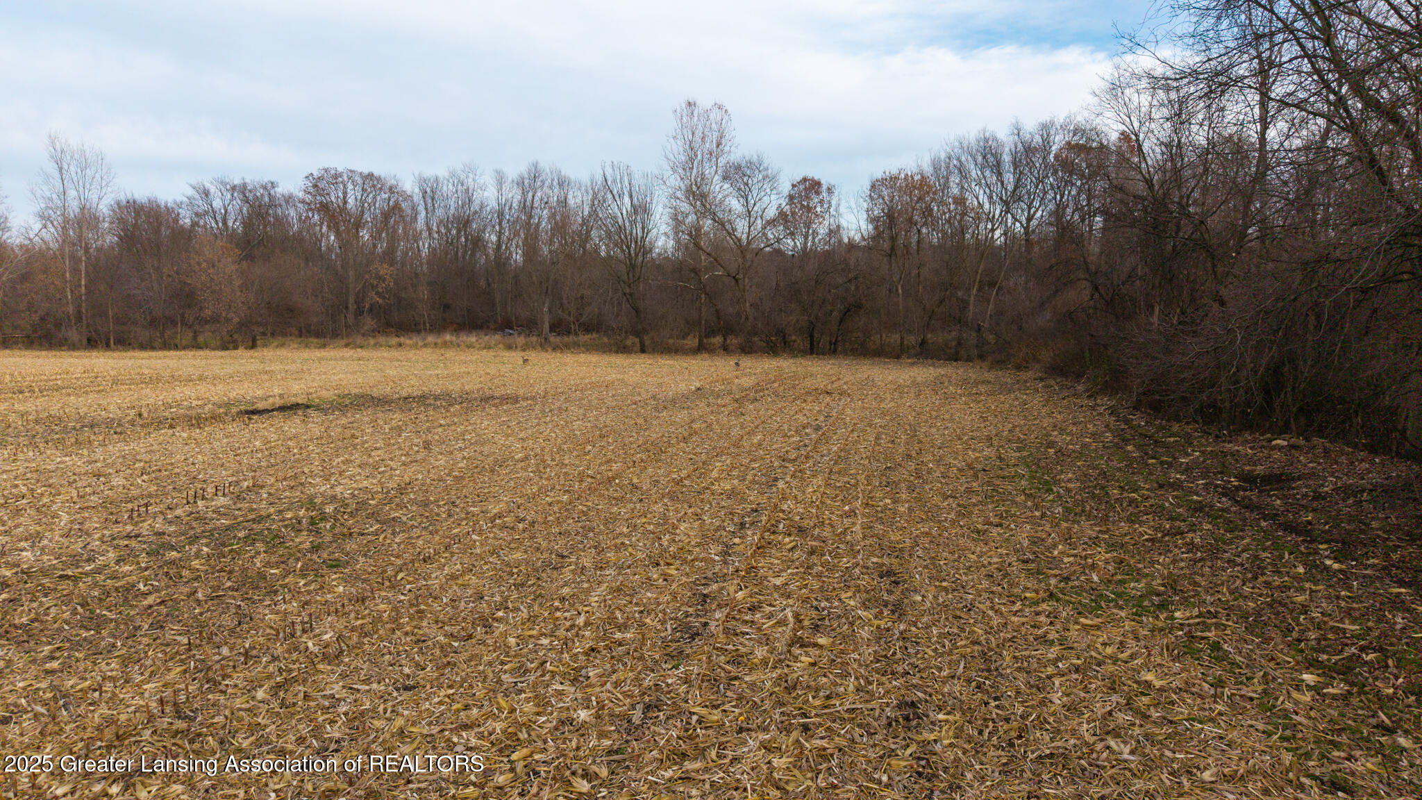Vl Windsor Highway Dimondale, MI 48821 - Photo 21 of 31 Windsor_Hwy_37_ACRE_BROCK-21