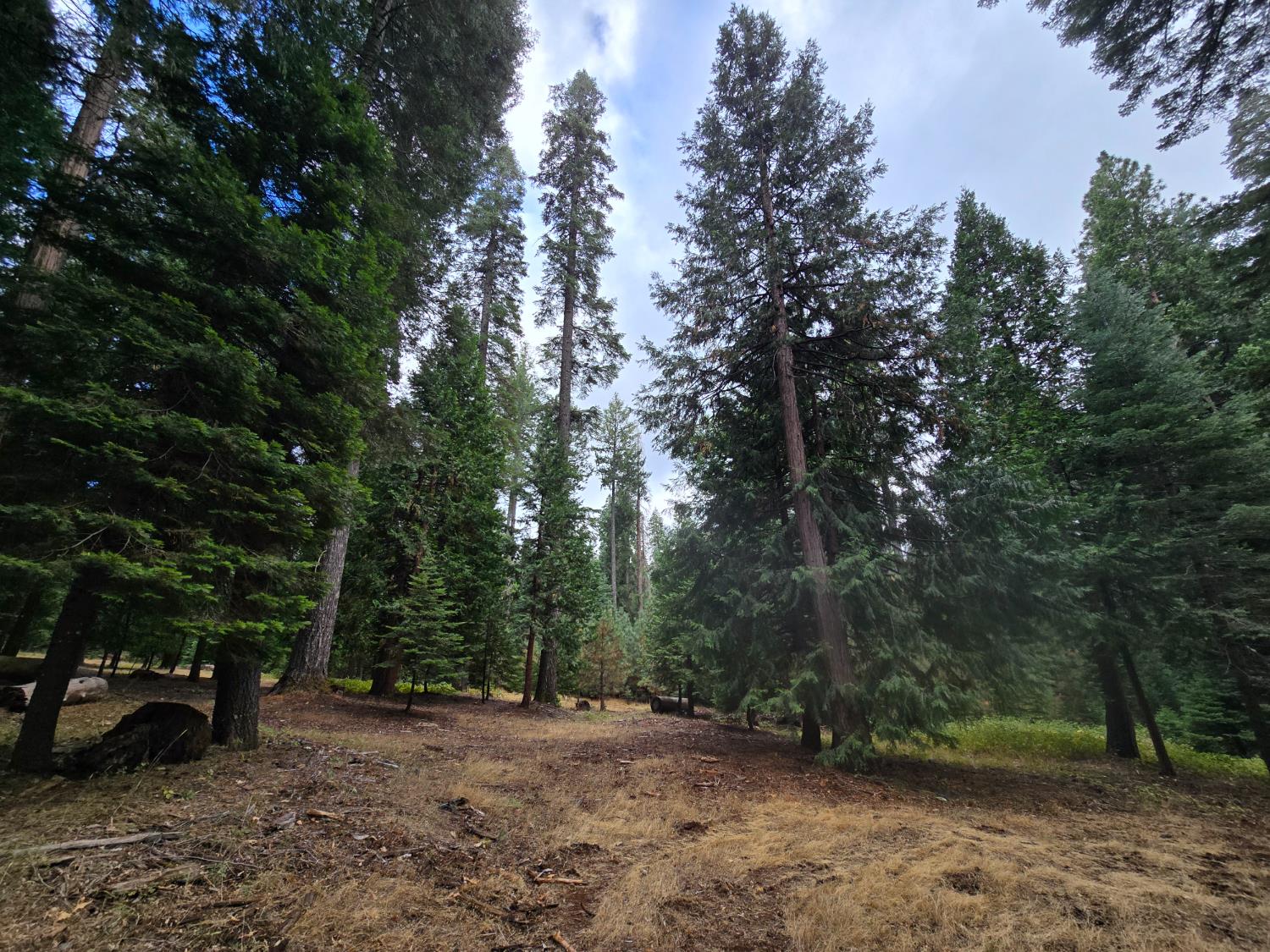 0 Blair Road Pollock Pines, CA 95726 - Photo 8 of 27 Gallery Image 8