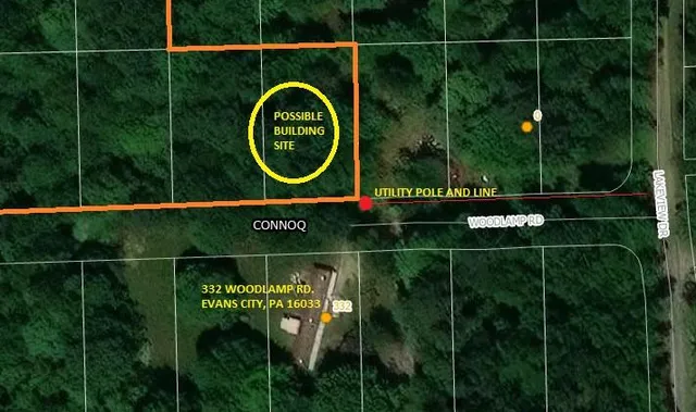 a garden view with a fan