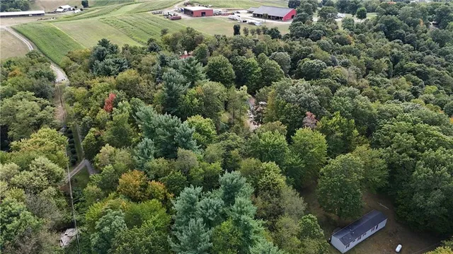 an aerial view of residential houses with outdoor space and trees