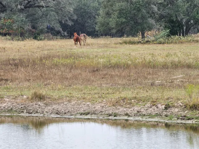 a view of a lake view