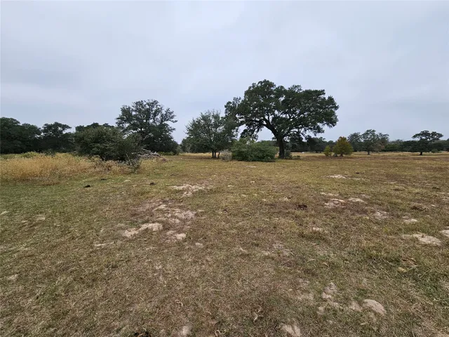 a view of a lake in middle of forest