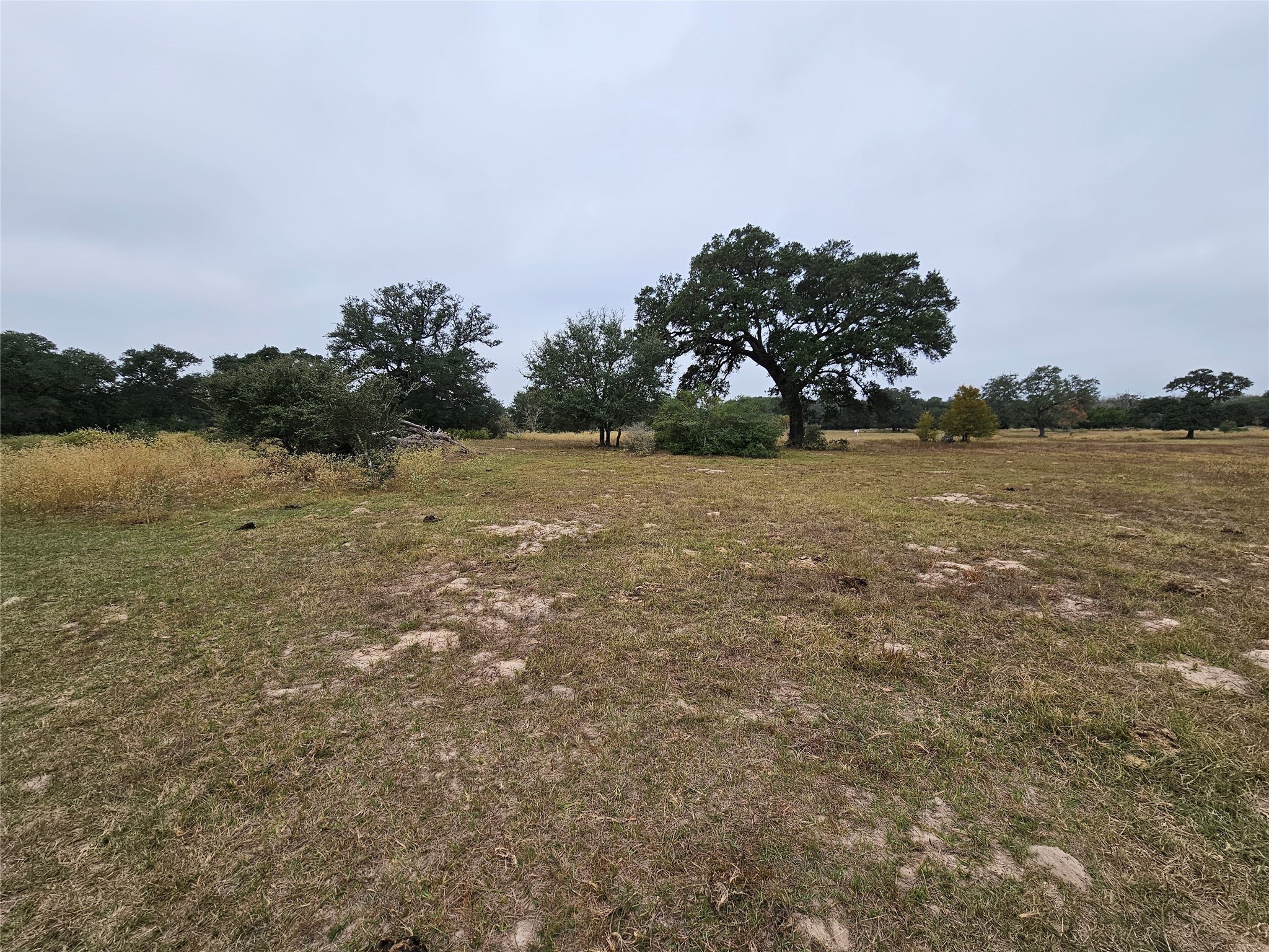 0 Schultz Road Columbus, TX 78934 - Photo 3 of 9 a view of a lake in middle of forest