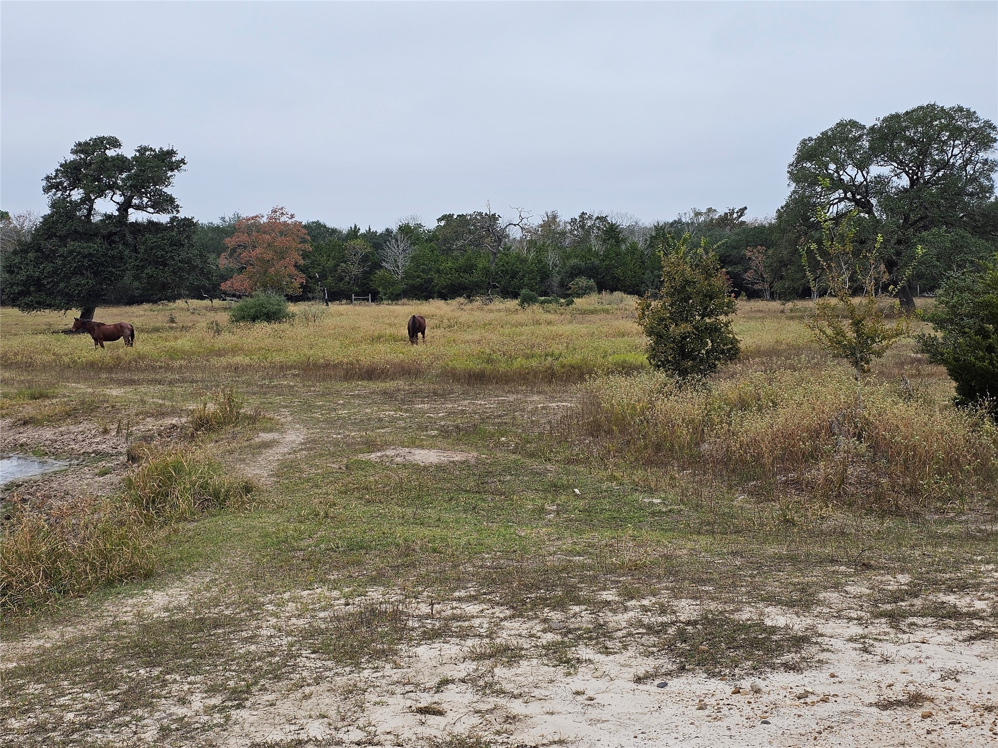 0 Schultz Road Columbus, TX 78934 - Photo 4 of 9 a view of a lake view