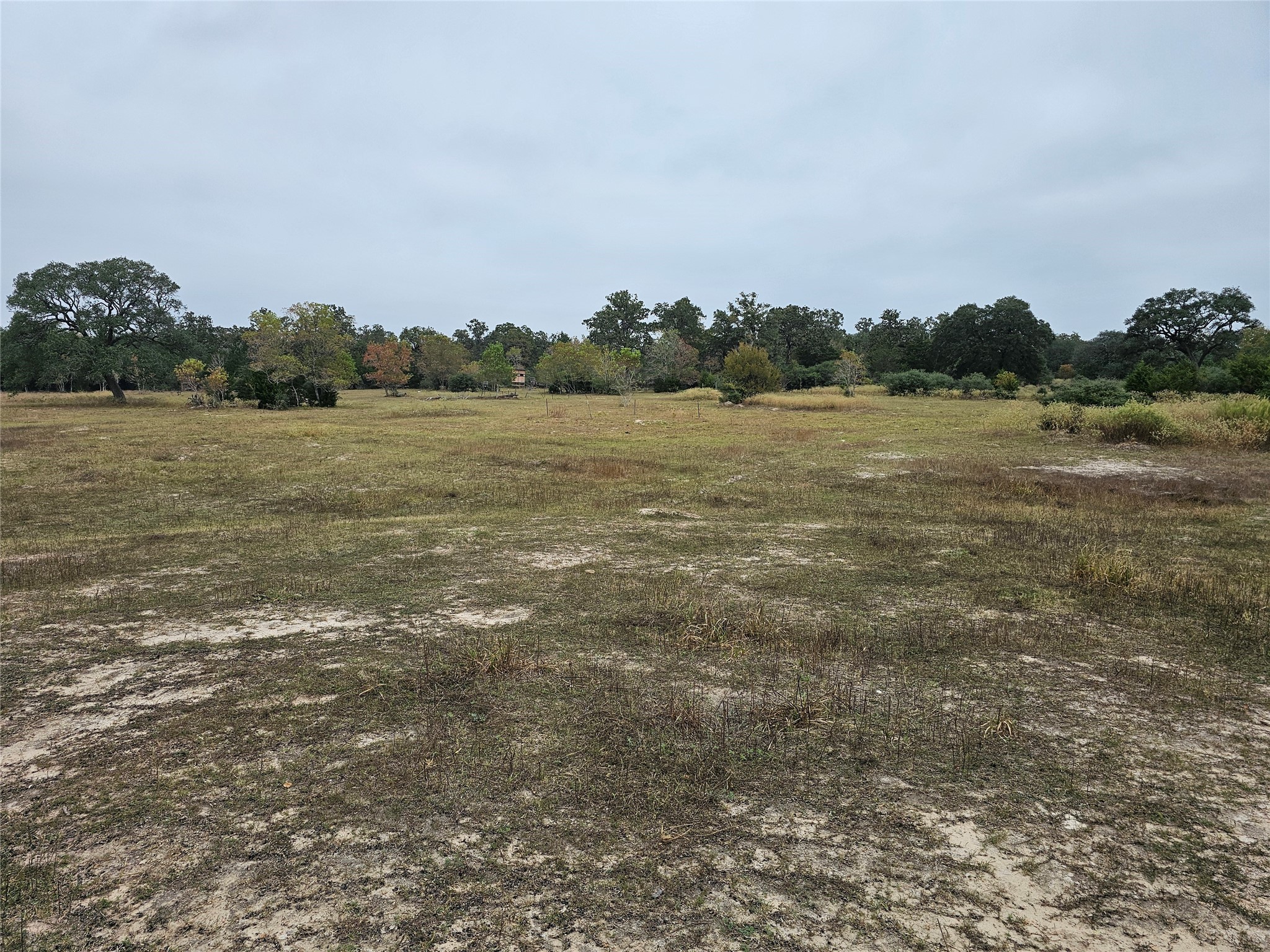0 Schultz Road Columbus, TX 78934 - Photo 5 of 9 a view of lake with mountain