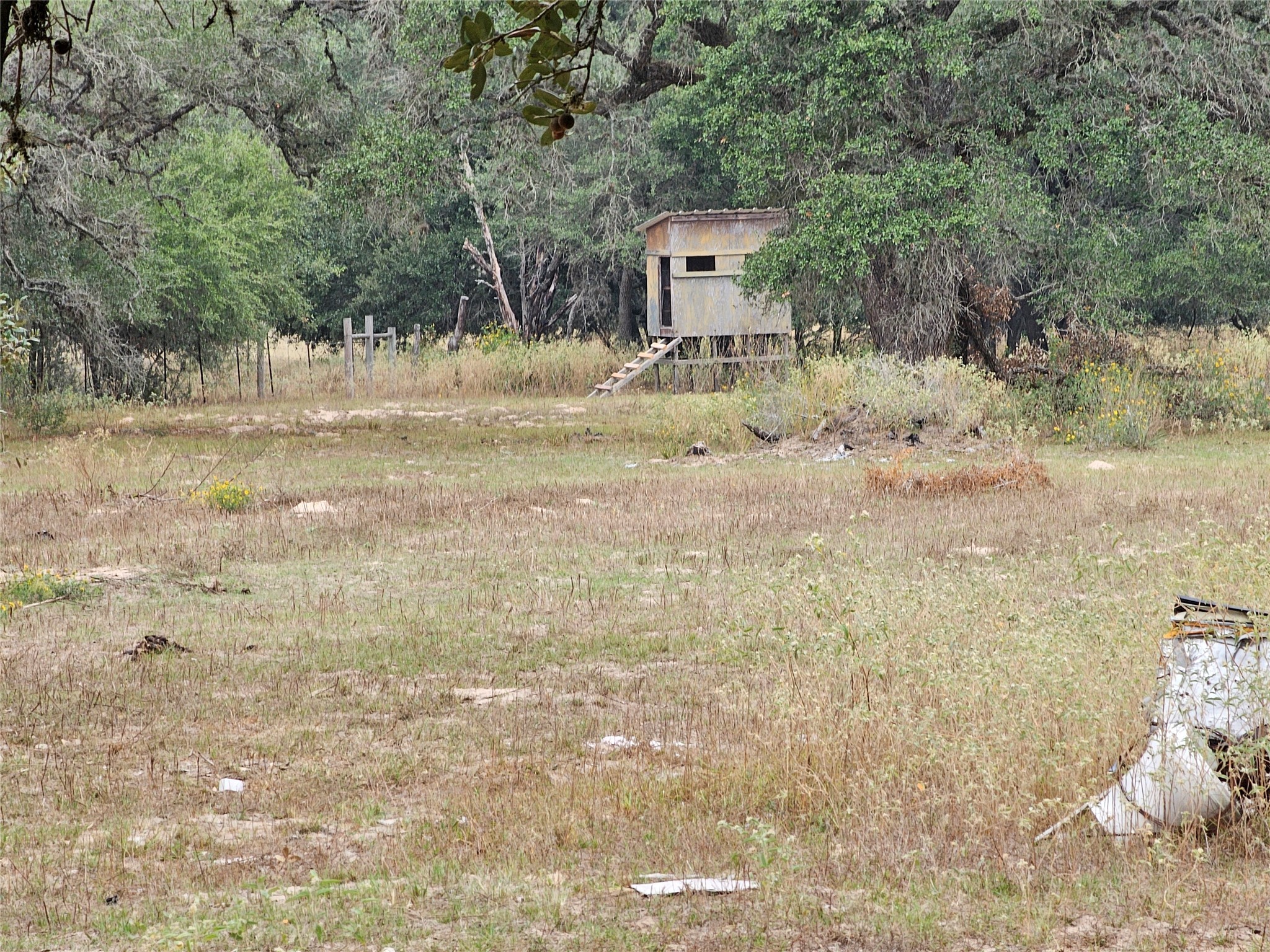 0 Schultz Road Columbus, TX 78934 - Photo 9 of 9 a view of a house with a yard