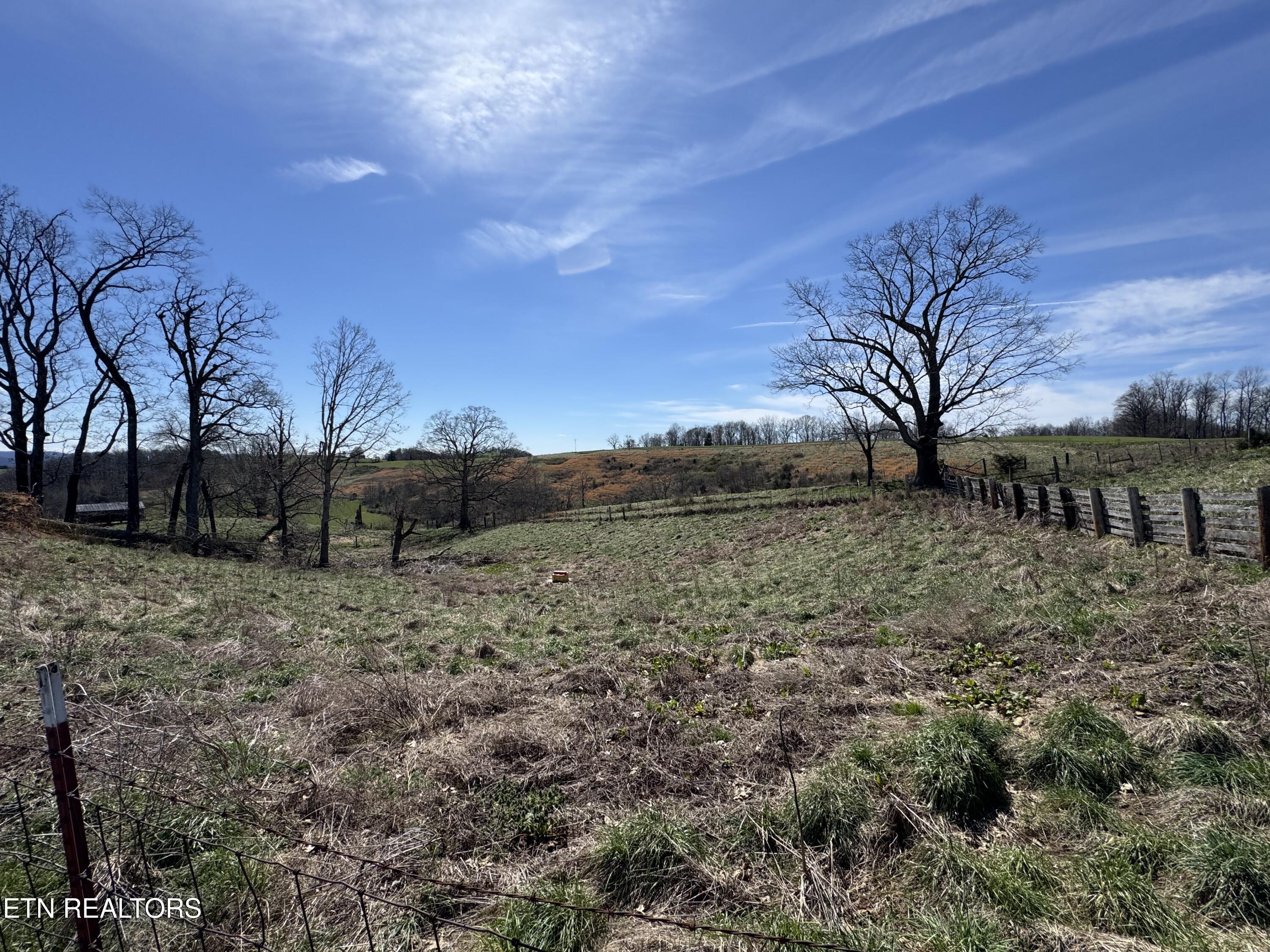 120 Oak Grove Church Road Harrogate, TN 37752 - Photo 18 of 20 IMG_4462