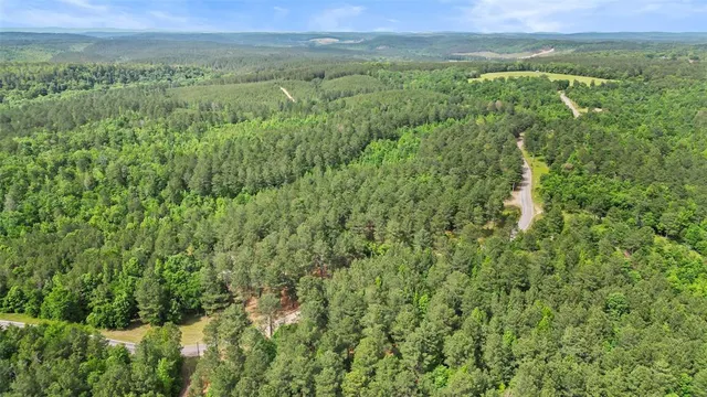 a view of a lush green forest with trees and some houses
