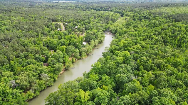 a view of a lush green forest with trees all around