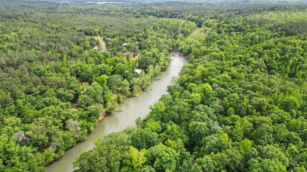 228 Old Factory Road Murfreesboro, AR 71958 - Photo 36 of 37 a view of a lush green forest with trees all around