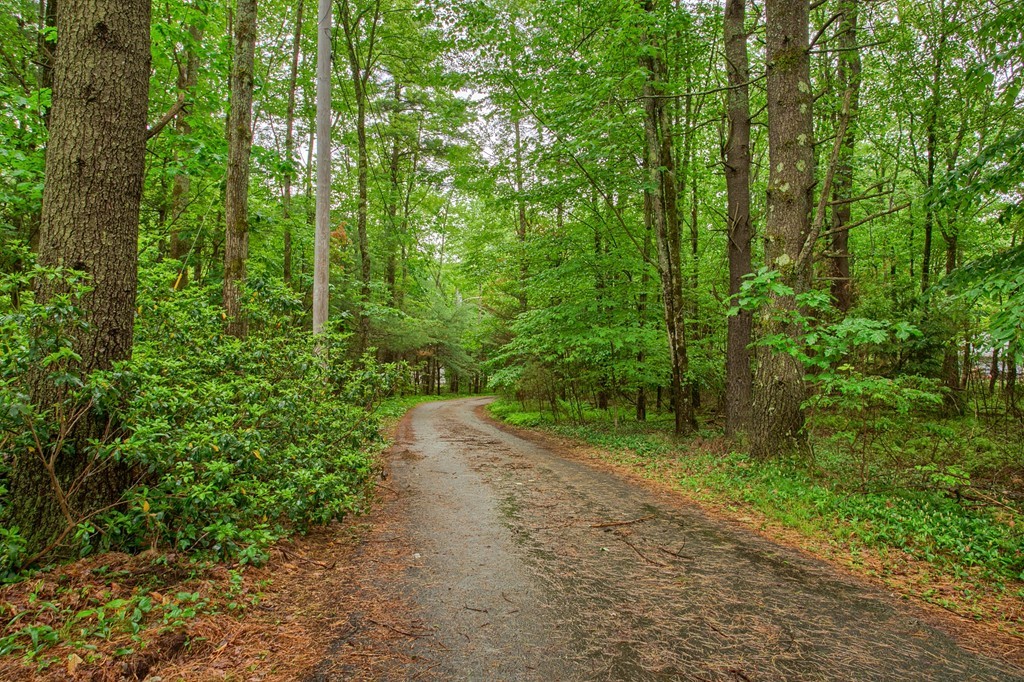 624 Teel Road Winchendon, MA 01475 - Photo 7 of 30