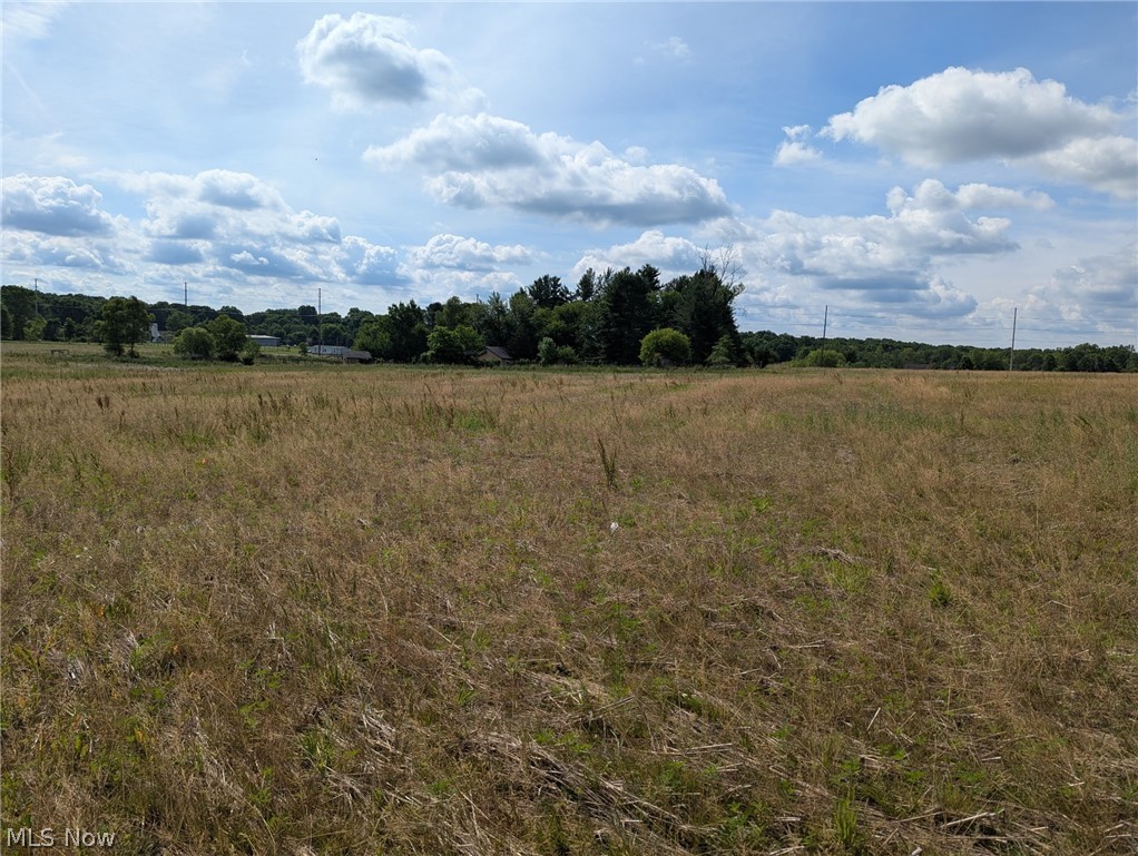 Center Road Garrettsville, OH 44231 - Photo 6 of 10