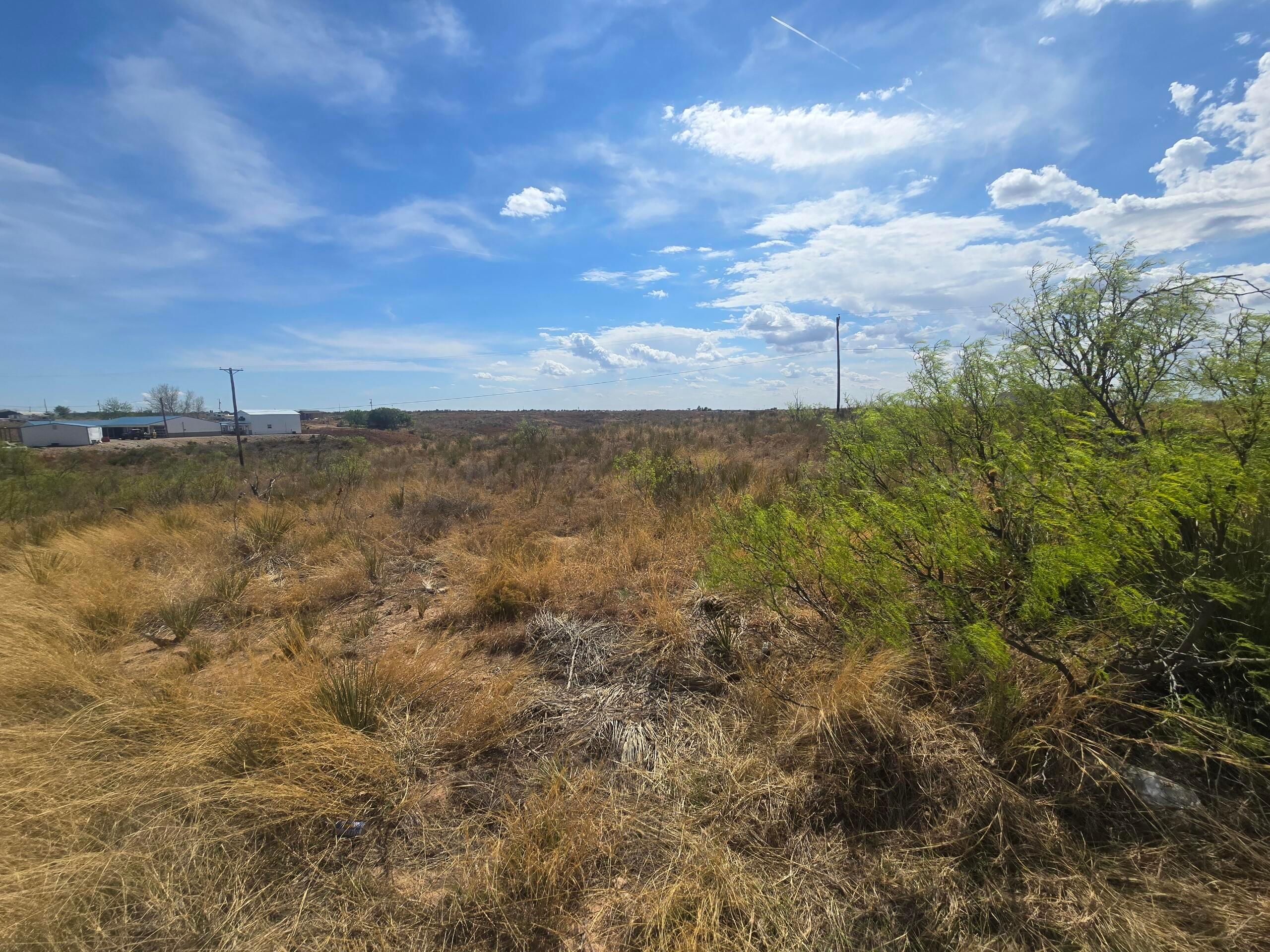 Meredith Way Fritch, TX 79036 - Photo 5 of 5 Resized_20260410_152839