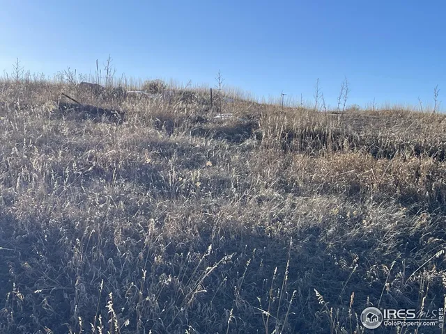 $34,500 | 64 Bobcat Mountain Court, Livermore, CO 80536