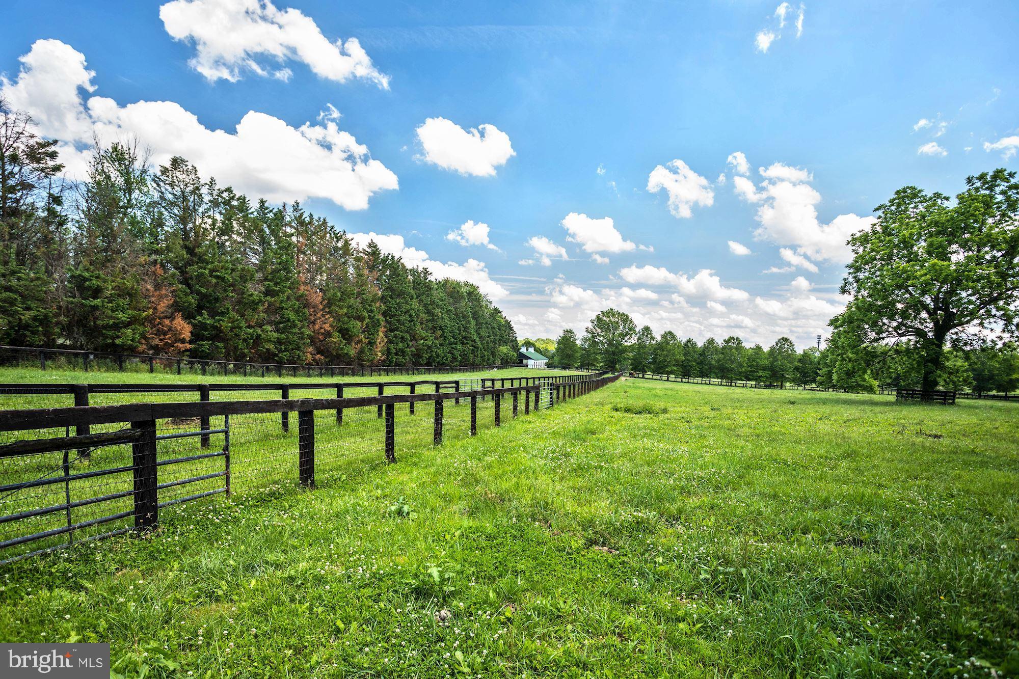 13032 Highland Road Highland, MD 20777 - Photo 111 of 114 a view of a golf course with a lake