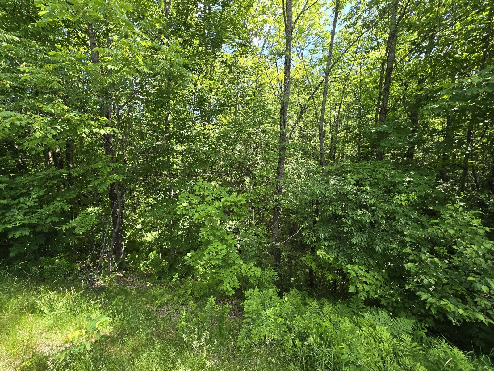 Lot 67 Temple Road Temple, ME 04984 - Photo 20 of 20 20260624_100310