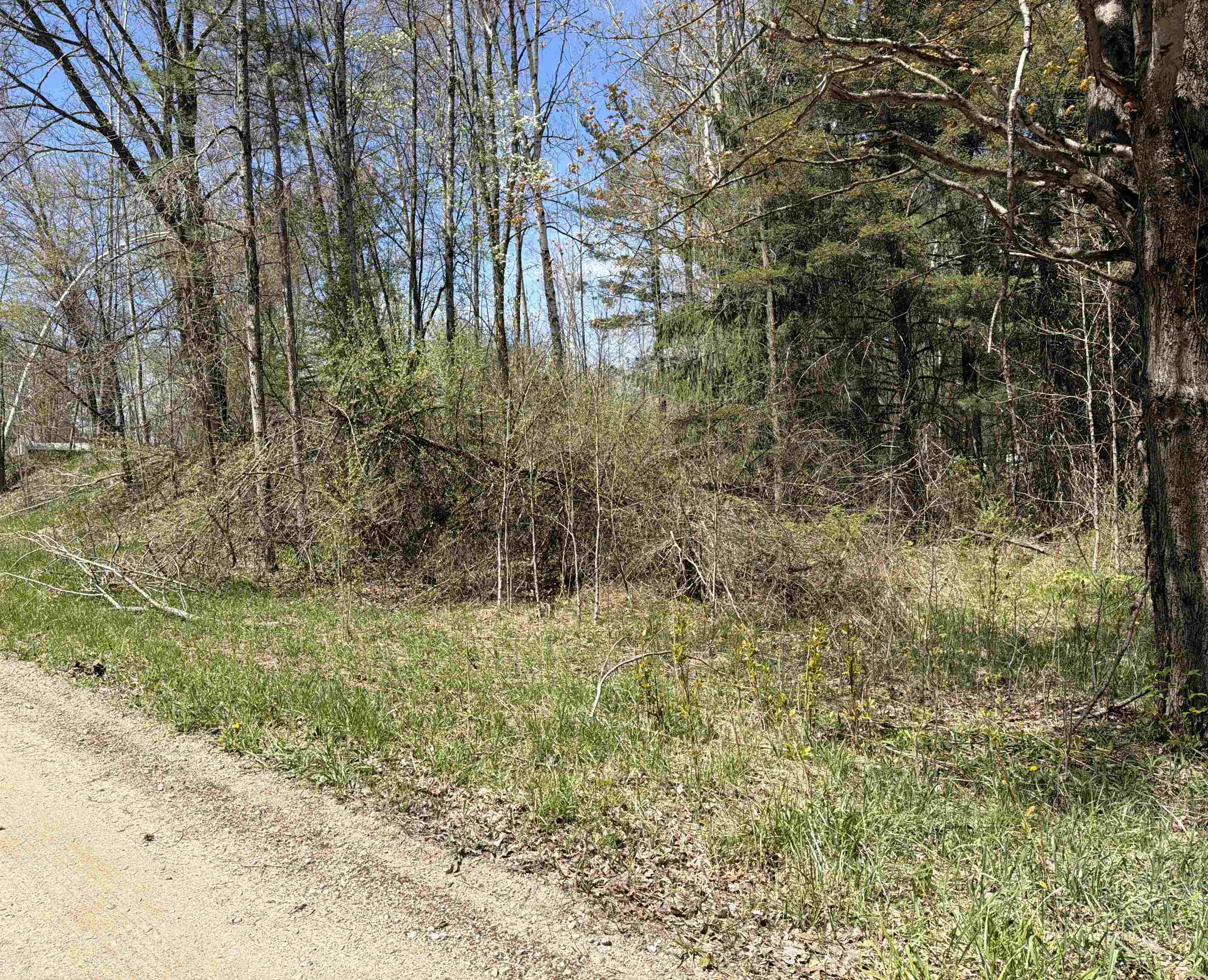 11310 West Rosebush Road Weidman, MI 48893 - Photo 1 of 12
