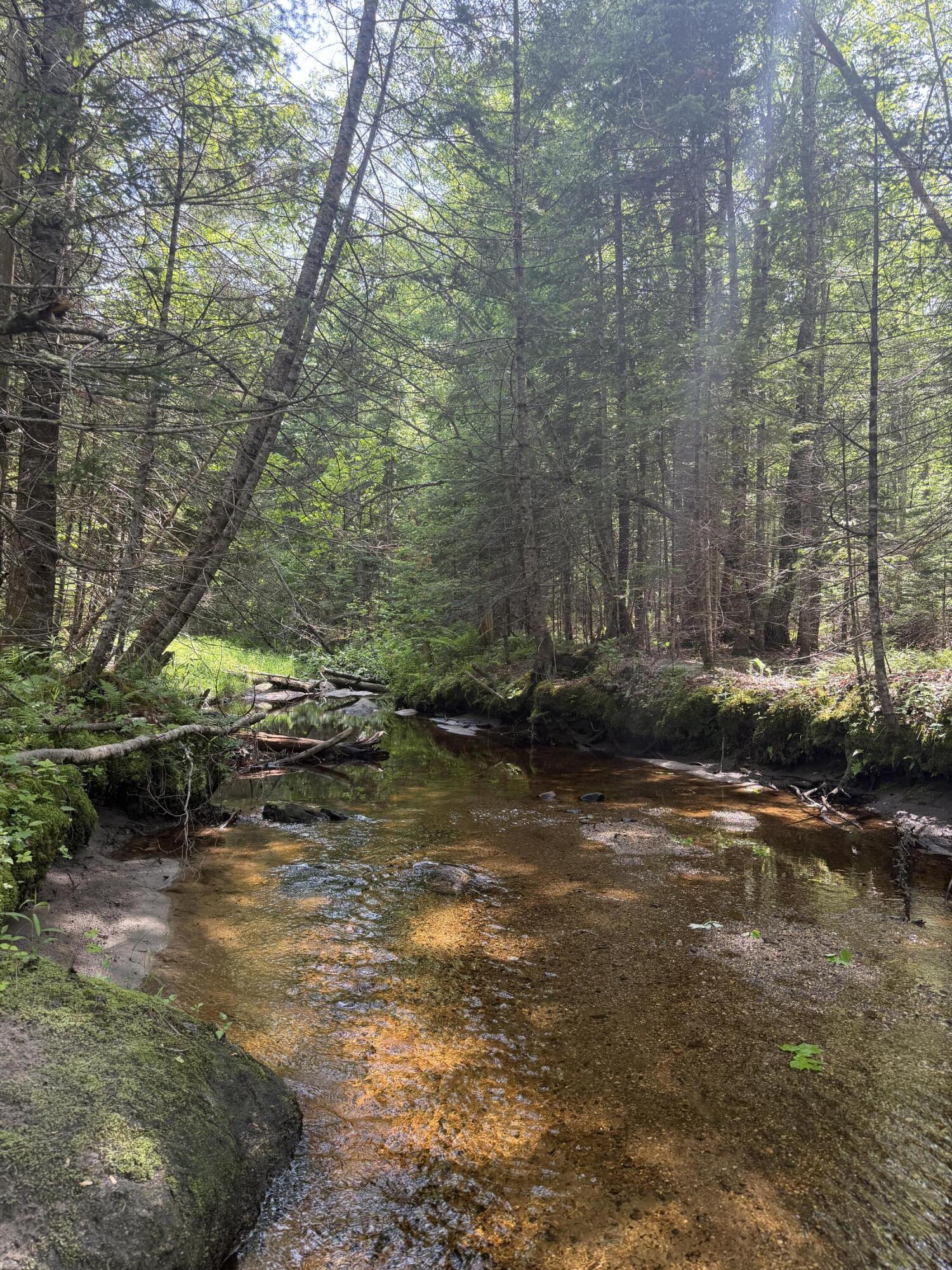 R13-30.2 Buckfield Road South Paris, ME 04281 - Photo 3 of 39 Stream