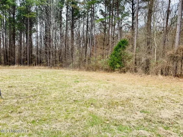 $95,000 | 43 Deerwood Crossing Dr Lake, Lake Cormorant, MS 38641