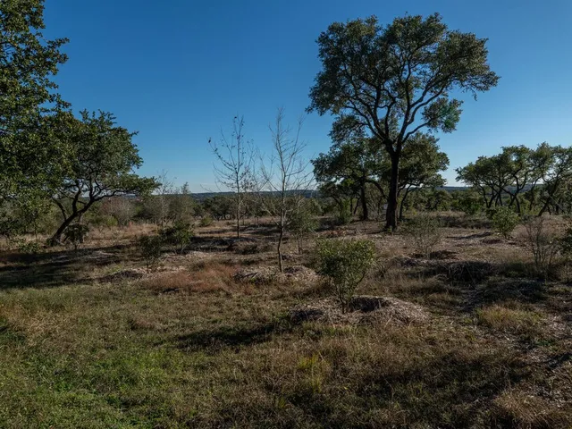 a view of backyard with green space