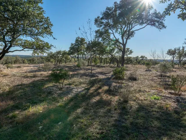 a view of a yard with trees