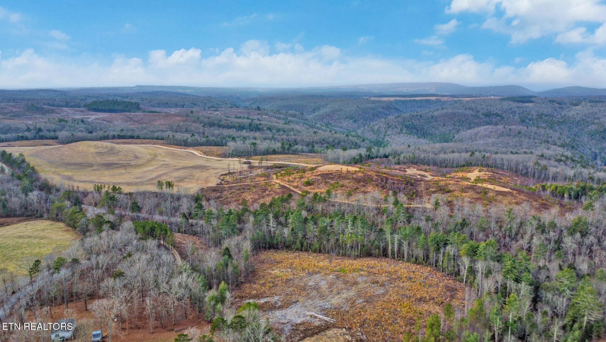 0 Possum Trot Road Grandview, TN 37337 - Photo 4 of 8 a view of mountain with wooden floor