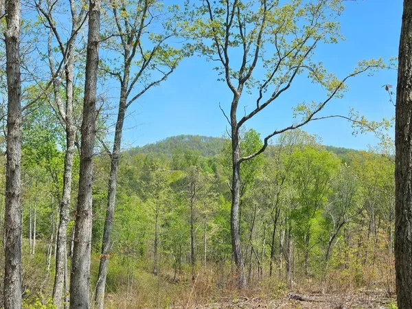 $69,900 | Lot 209 Oak Park Drive, Talking Rock, GA 30175