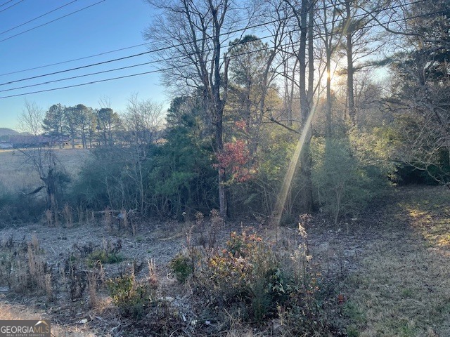 0 95th Highway LaFayette, GA 30728 - Photo 6 of 9