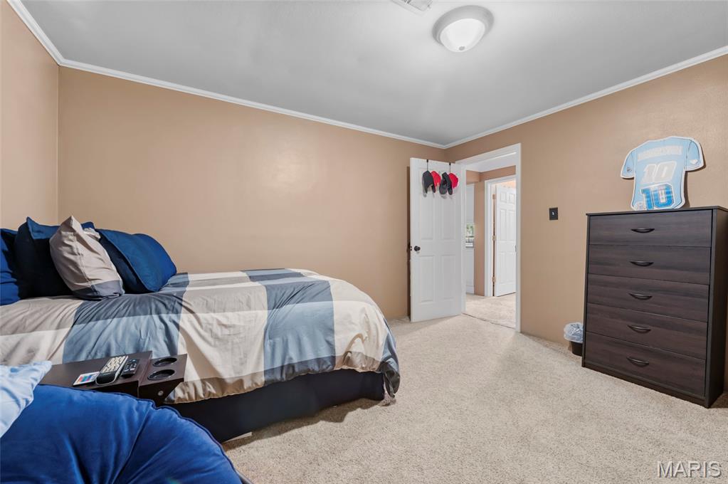 723 Bunker Hill Road Staunton, IL 62088 - Photo 11 of 30