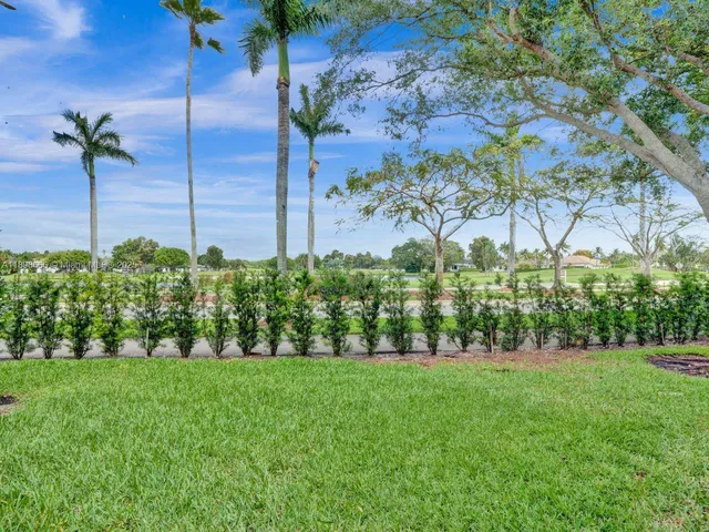a view of green field with a tree