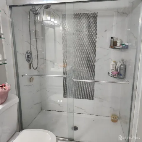 a bathroom with a shower and toilet