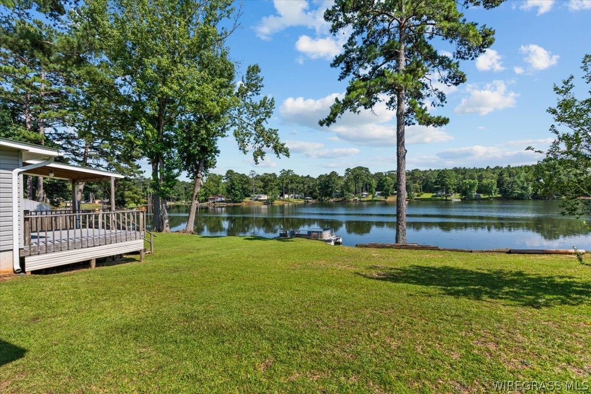 236 Windsor Lake Road Chancellor, AL 36316 - Photo 36 of 36 Gallery Image 36