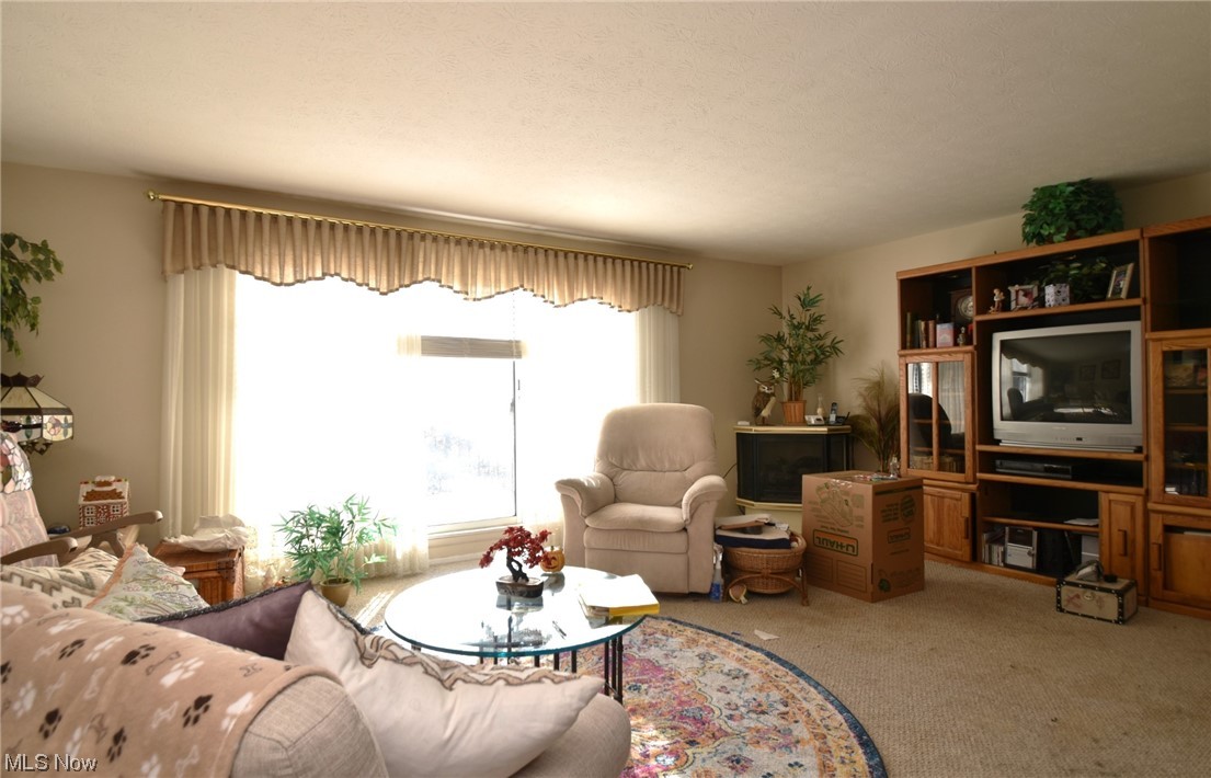 6480 State Road, Unit F9 Parma, OH 44134 - Photo 8 of 17
