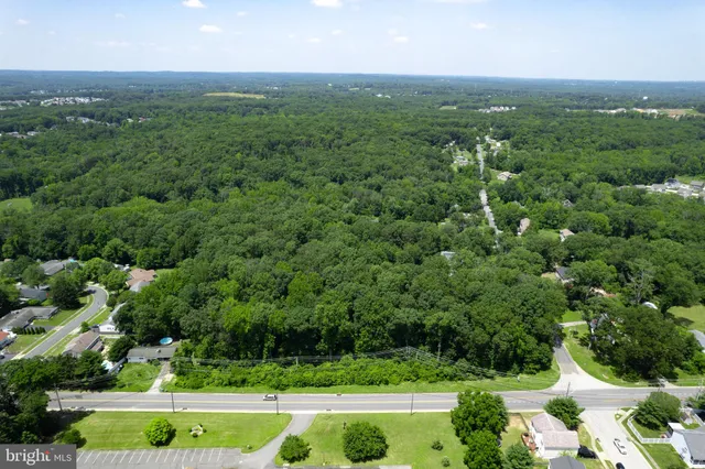 a view of a green field with lots of trees