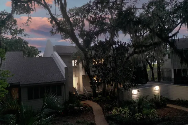 a picture of trees with lots of plants and trees