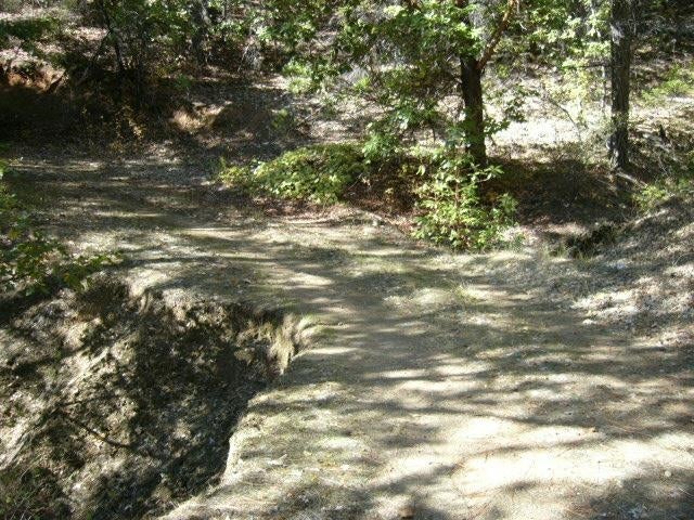 122 Acres Off Usfs Road Happy Camp, CA 96039 - Photo 8 of 25 Gallery Image 8