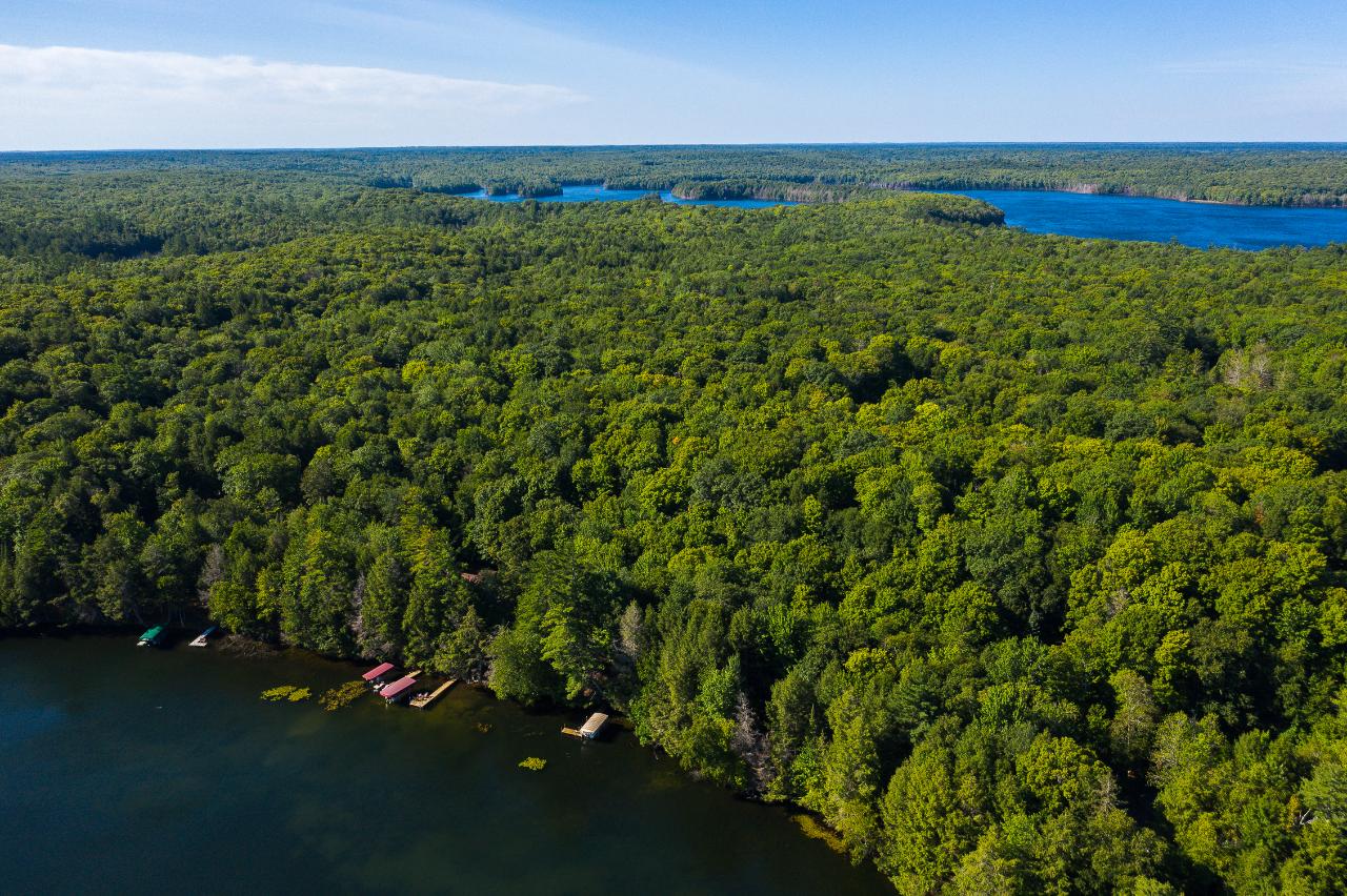 6070 West Forest Lake Road Land O'Lakes, WI 54540 - Photo 69 of 81 Gallery Image 69