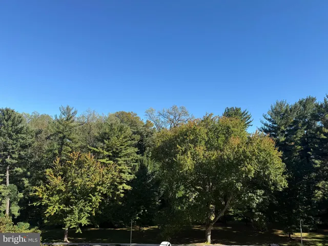 a view of a city with lush green forest
